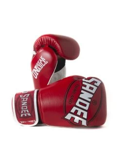 Sandee Cool Tec Velcro Leather Boxing Gloves -Boxing & Martial Arts Equipment Shop kghyhars35n 44948.1675777960