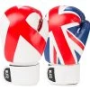 Blitz Kids Country Boxing Gloves